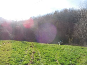 Chisel plowing the upper field