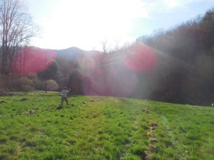 Tom counting off planting holes