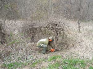 Greg taking down the poison ivy monster