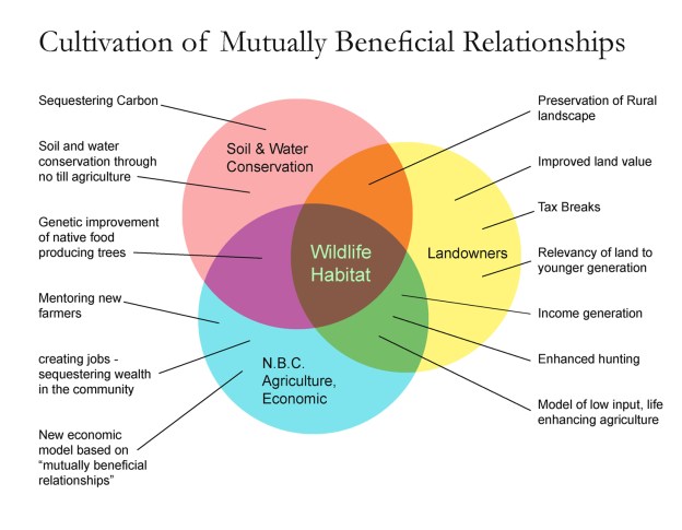 the mutual benefits of NBC