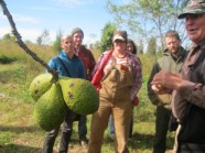Nuts, nut grower, newbies