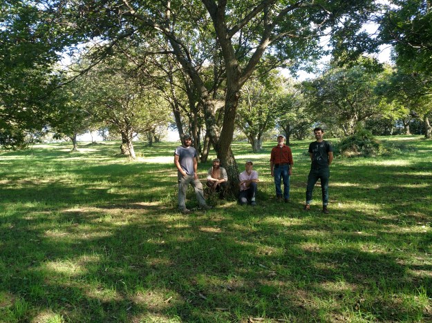 img_20161003_162509734