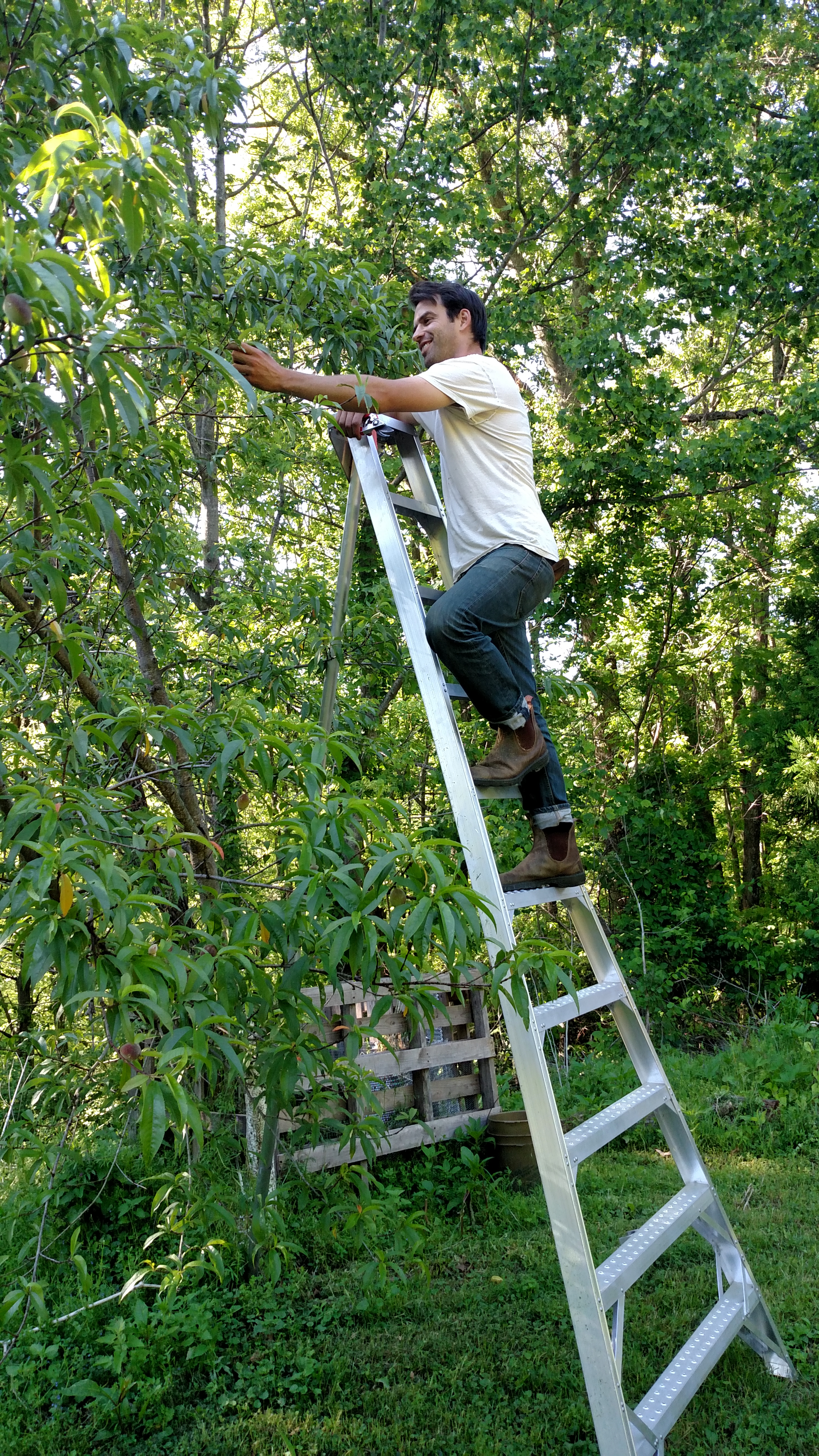 justin on ladder