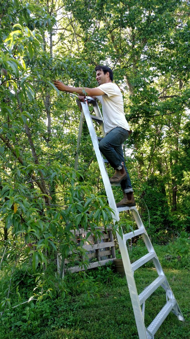 justin on ladder